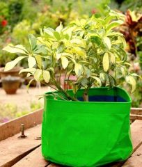 Grow-bag-1